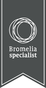 bromelia specialist logo