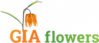 fade in logo giaflowers