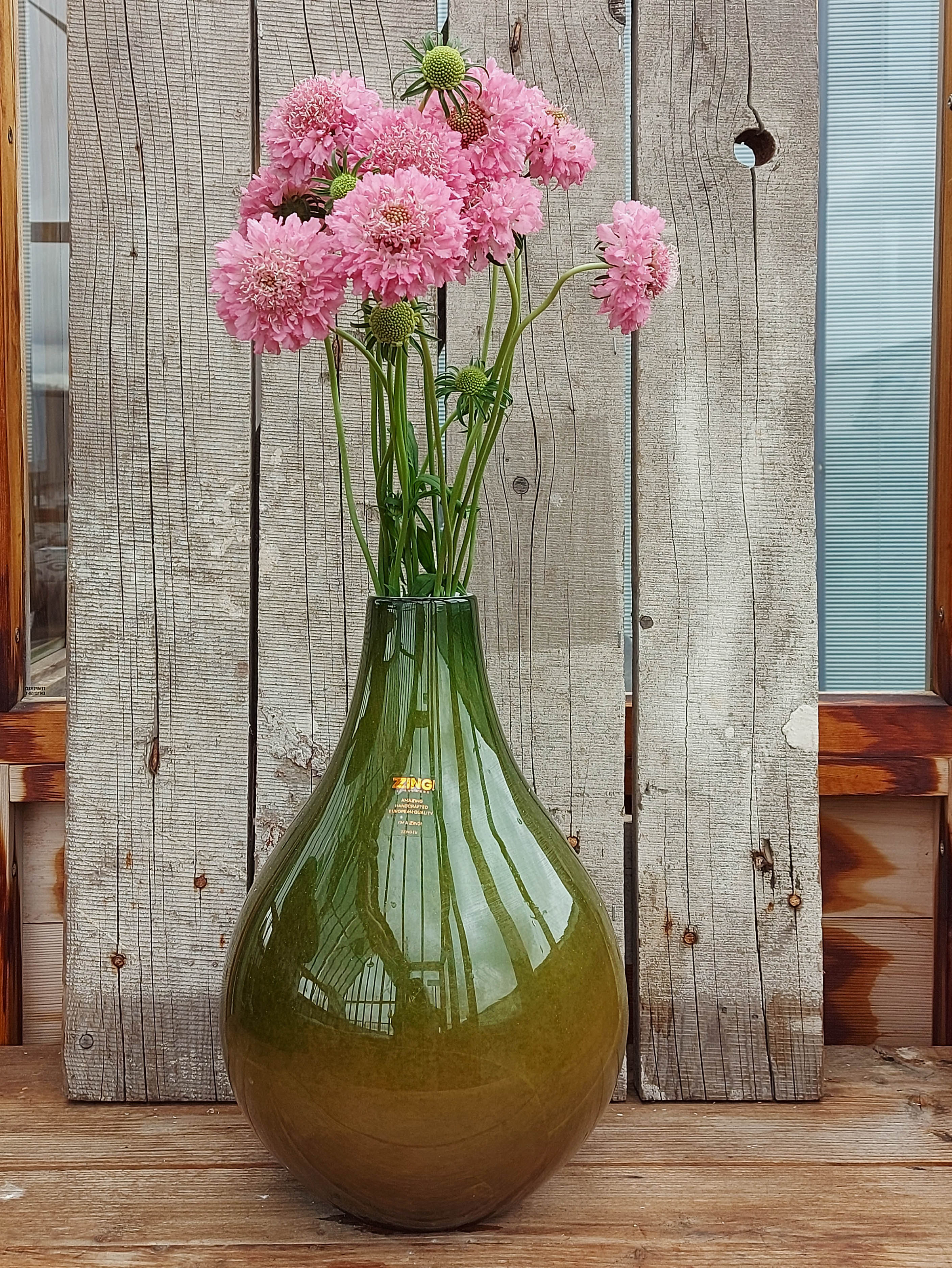 Candy Scoop Scabiosa